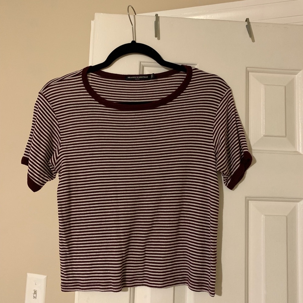 Brandy Melville Crop Top